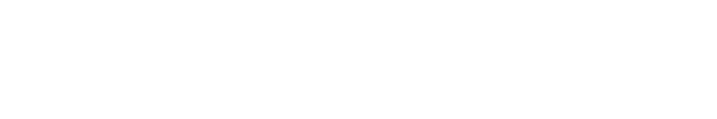 thebiggerpicture logo without tagline white